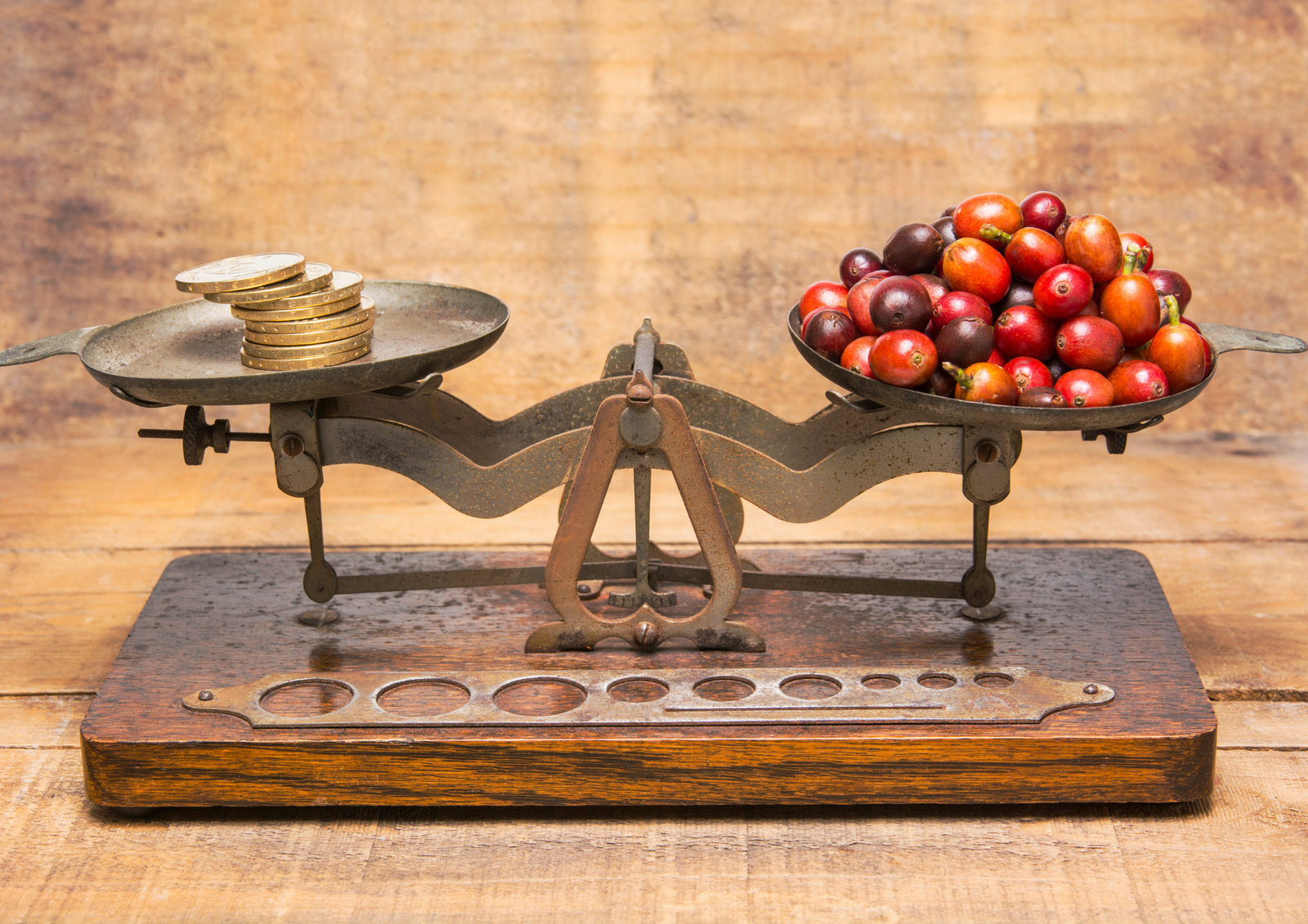 Égalité et Équité